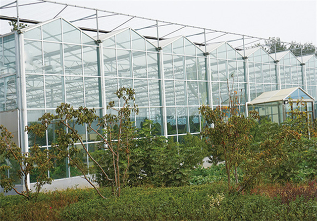 國家現代蔬菜種業創新創業基地